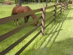 4 rail centaur in brown